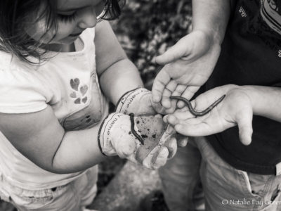 Holding Worms