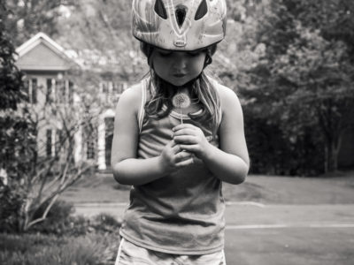 little girl holding dandelion in driveway