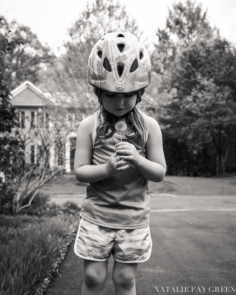 little girl holding dandelion in driveway