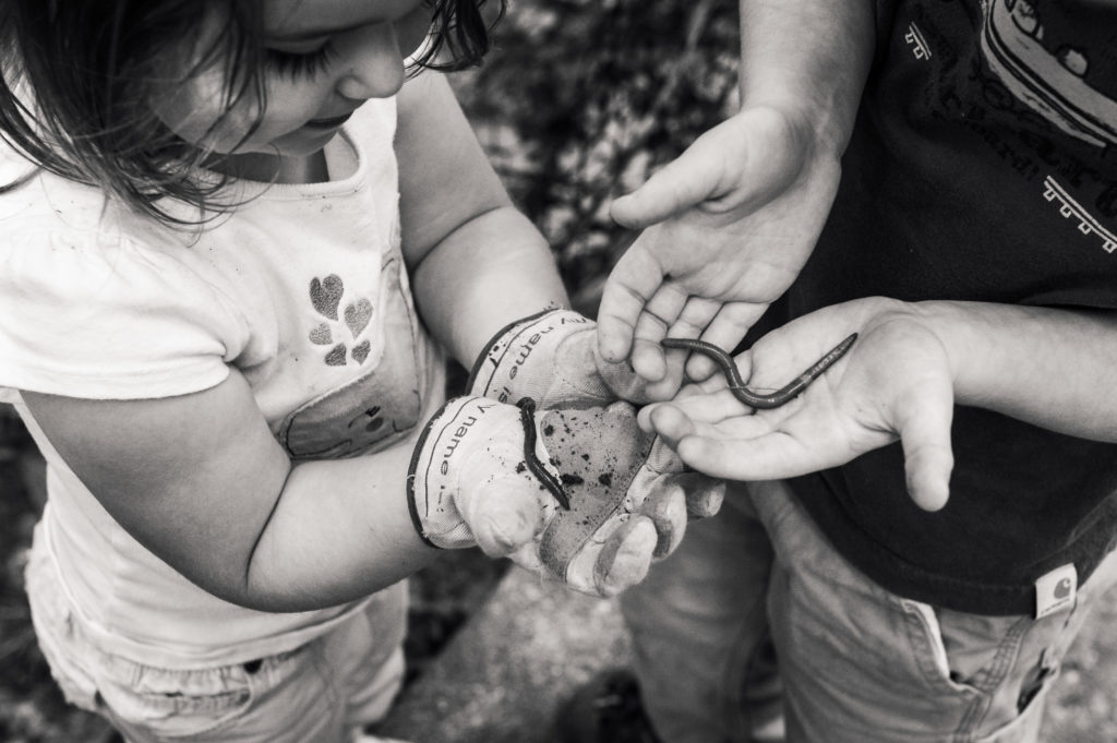 children holding worms on a summer day