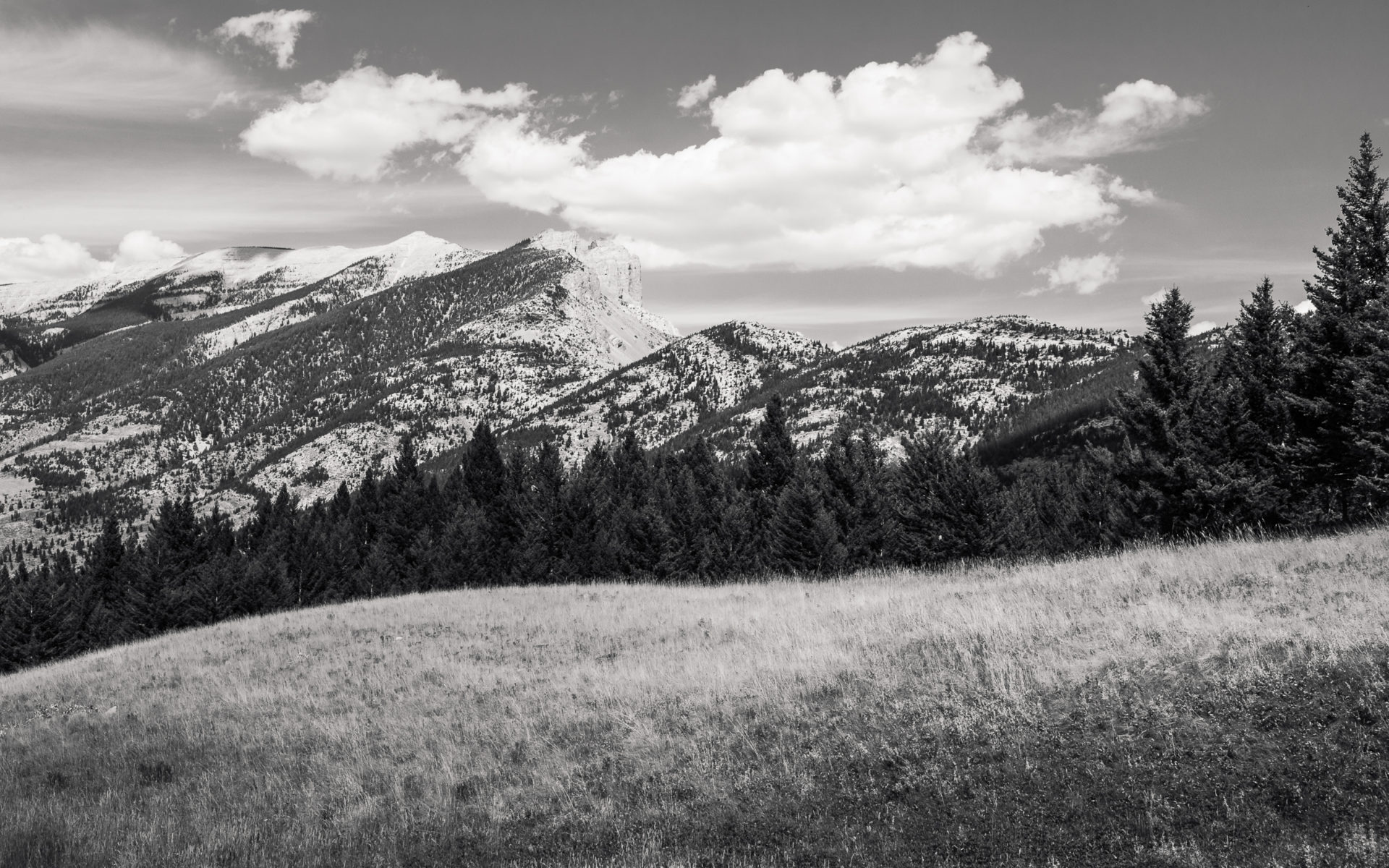 montana-mountain-landscape