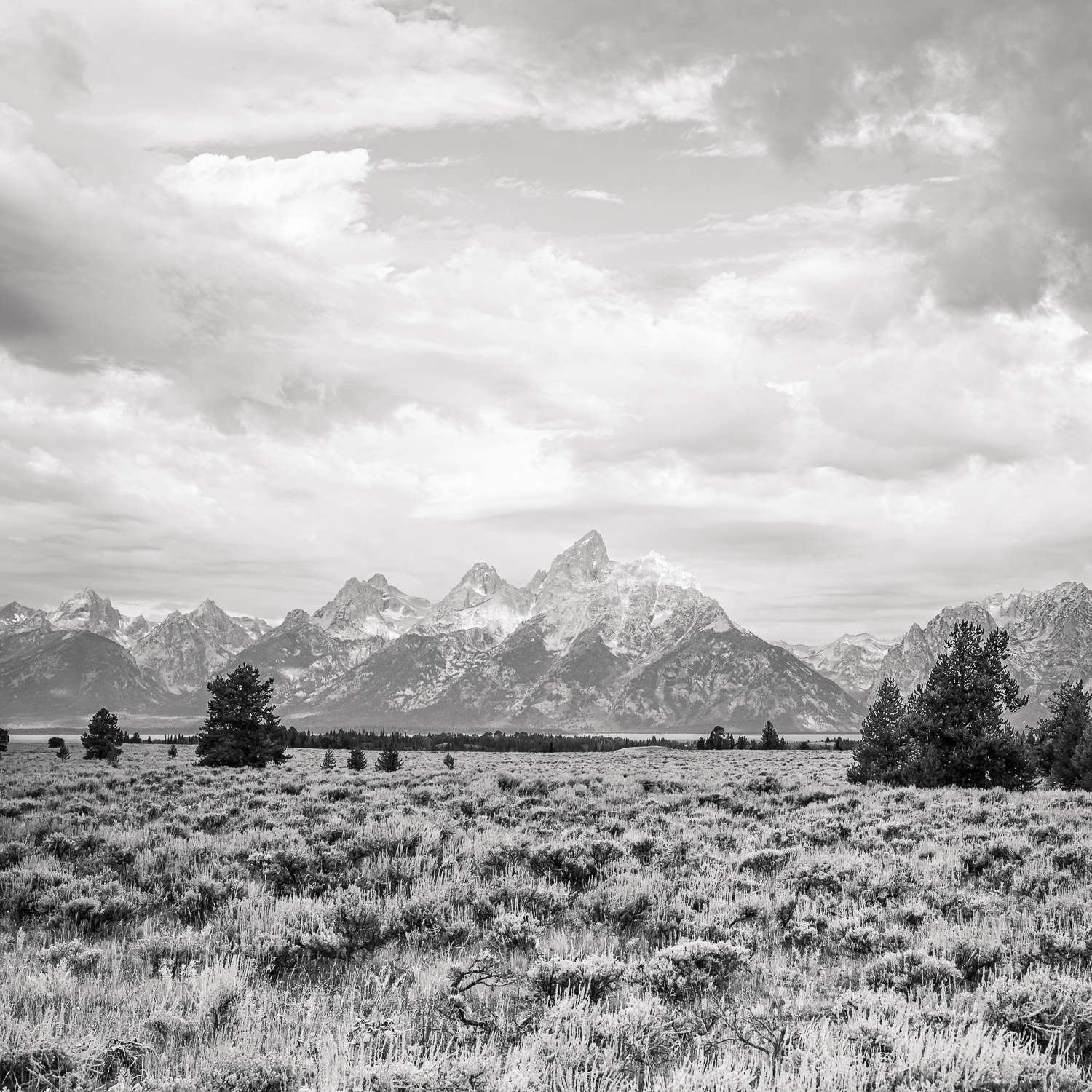FarFar-16 The tetons in black and white