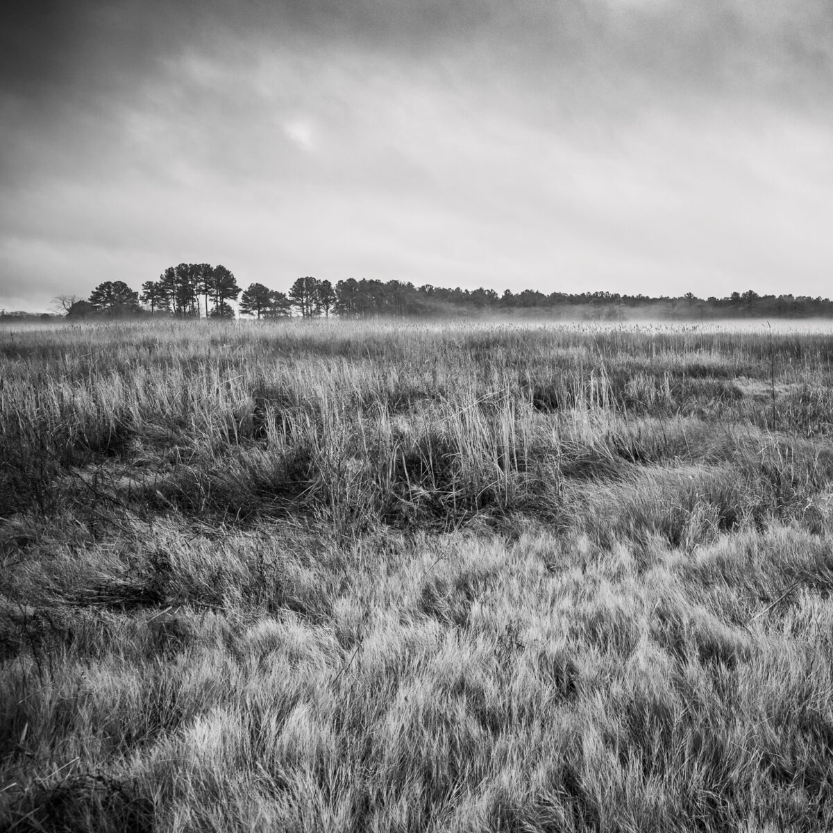 choptalk river marsh