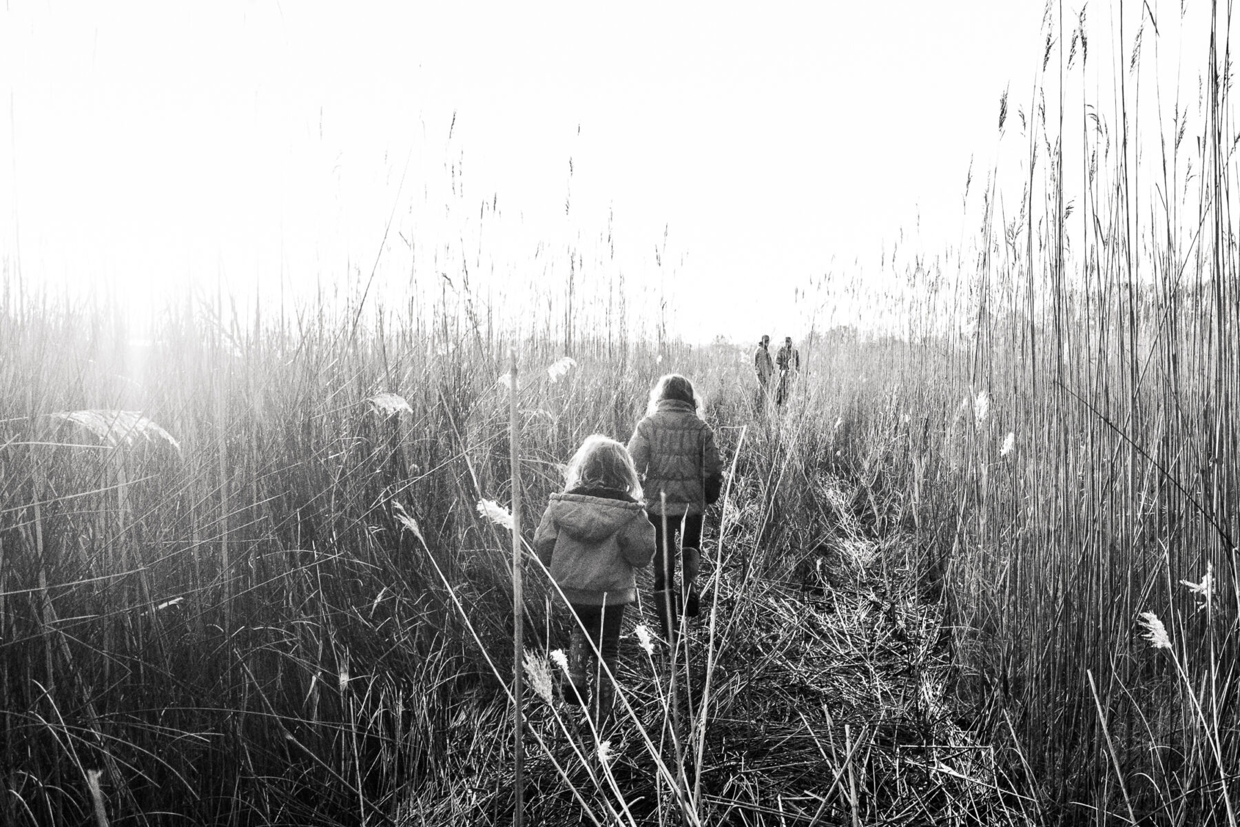 children disappearing into the marsh