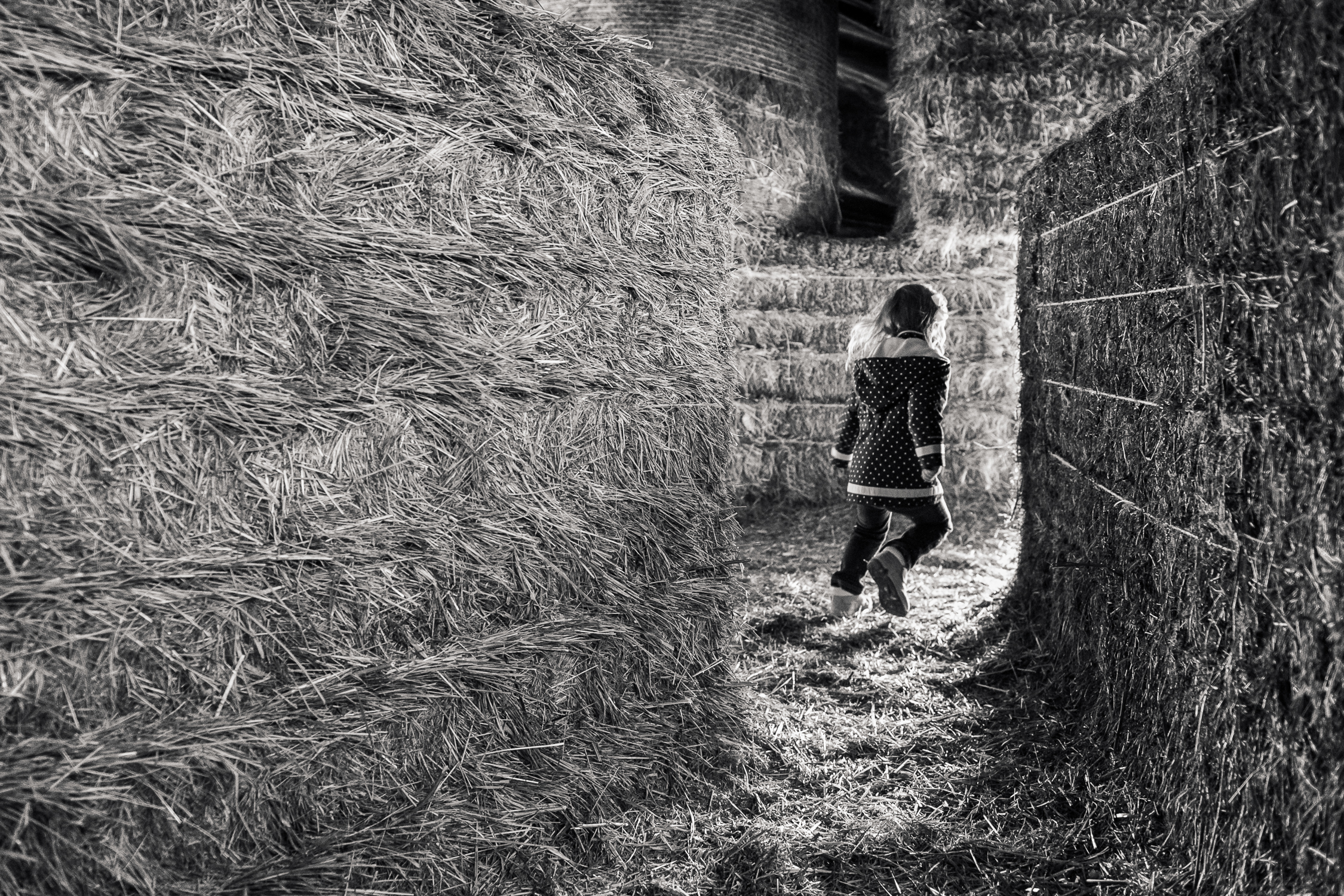 Hay-Maze girl running into hay maze