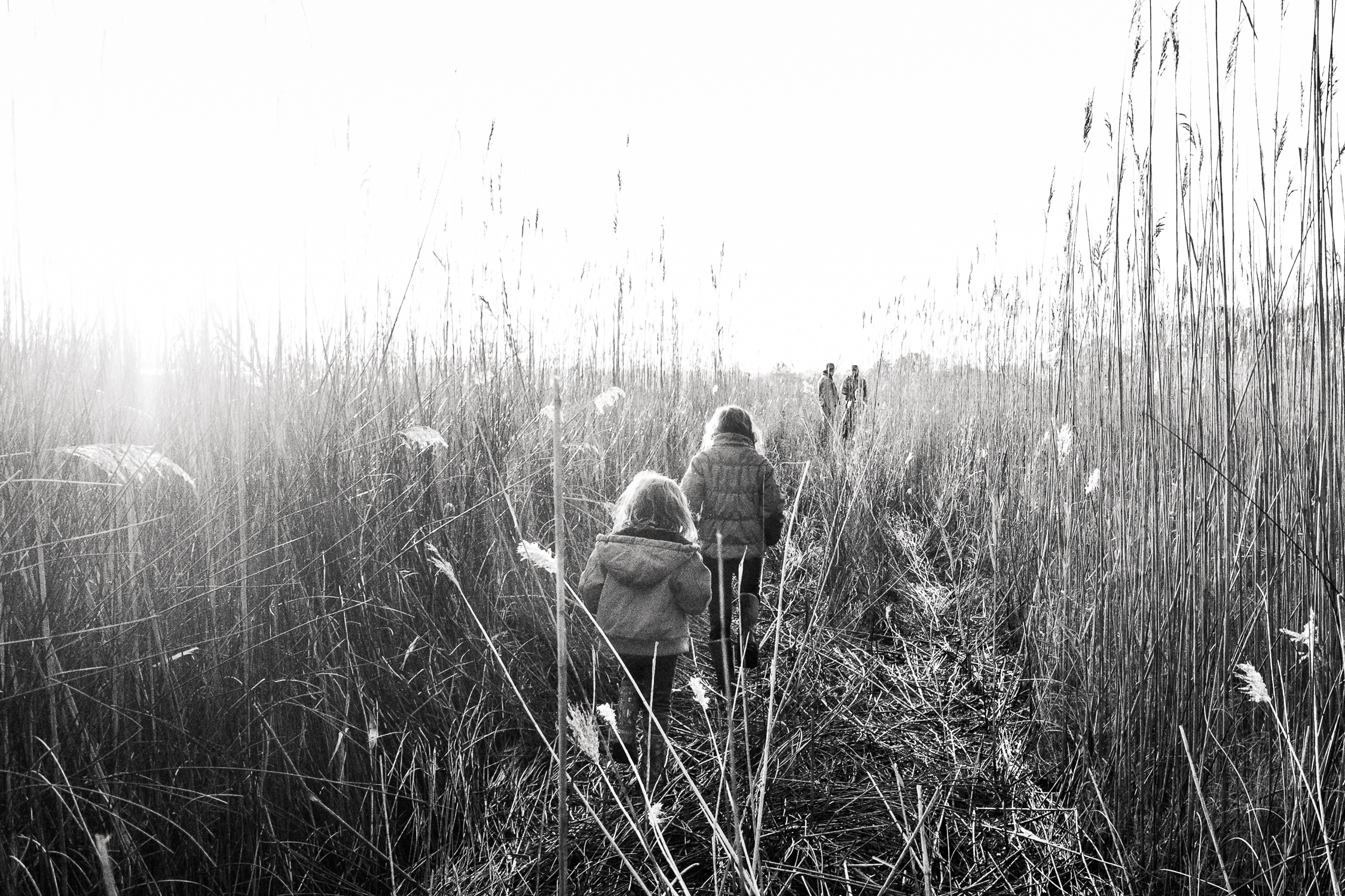 RiversEdge-16 children disappearing into the marsh